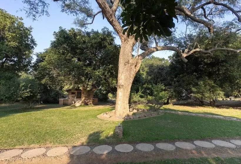 هتل Track And Trail River Camp