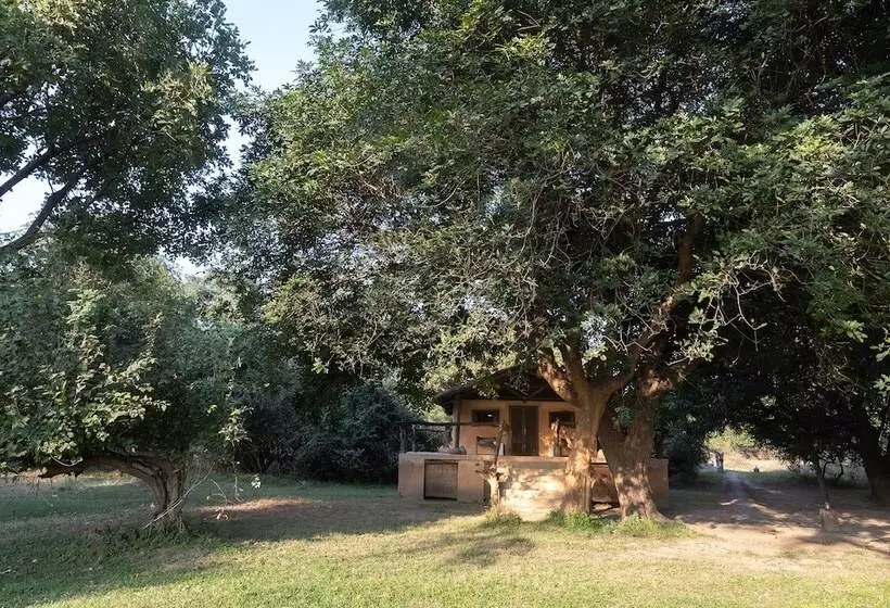 هتل Track And Trail River Camp