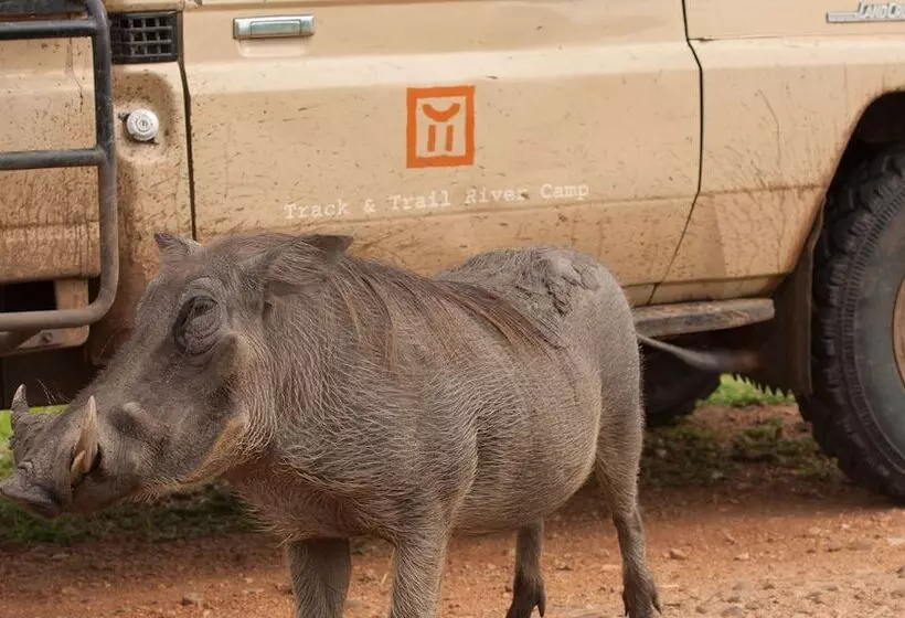 هتل Track And Trail River Camp