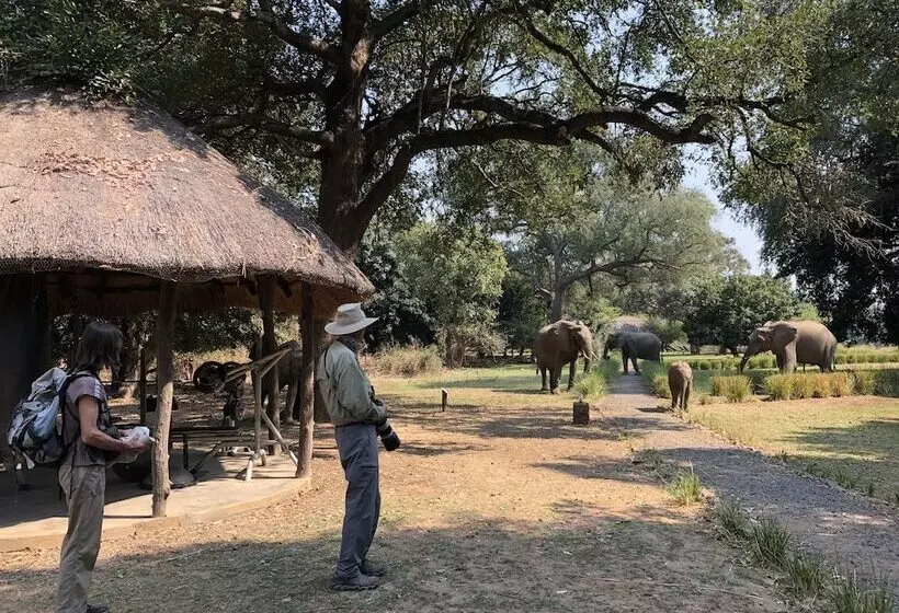 هتل Track And Trail River Camp