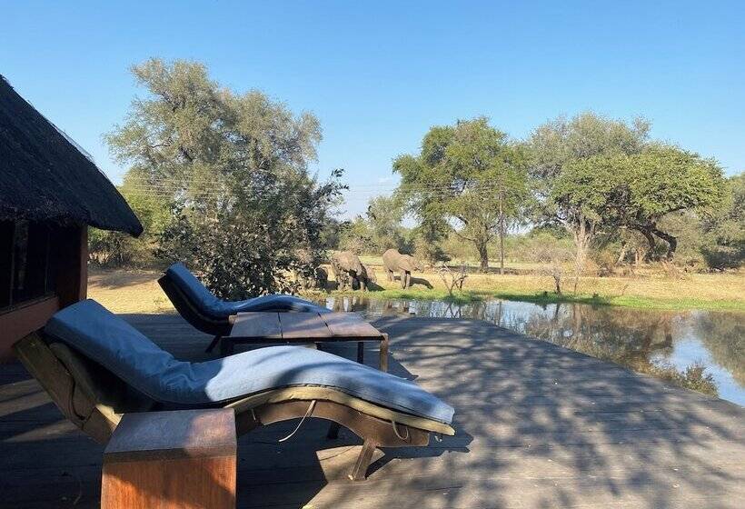 هتل Track And Trail River Camp