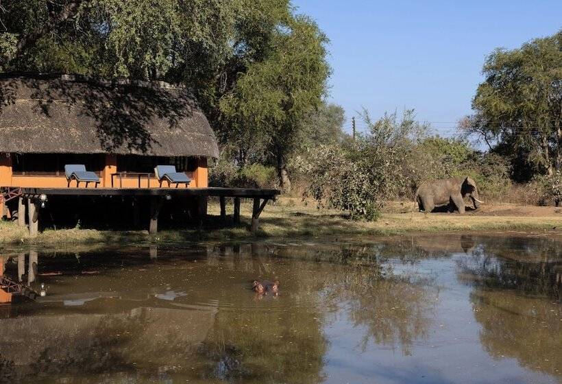 هتل Track And Trail River Camp