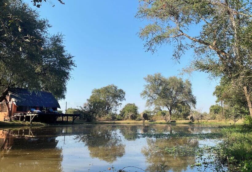 هتل Track And Trail River Camp