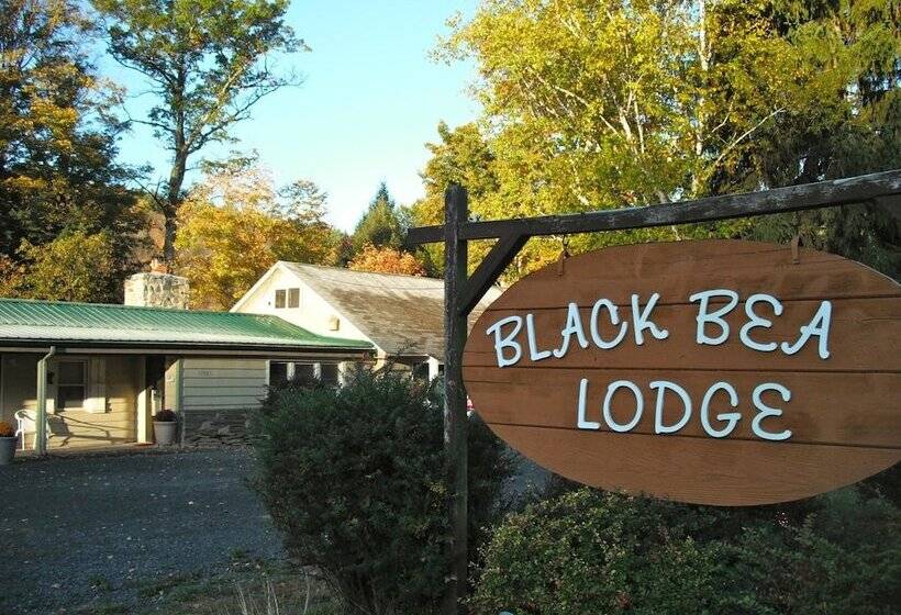 מוטל Black Bear Lodge