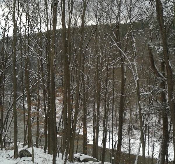 מוטל Black Bear Lodge