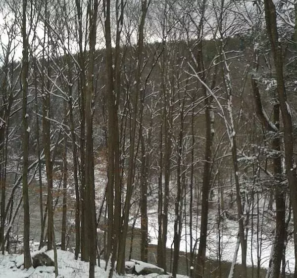 Motelli Black Bear Lodge