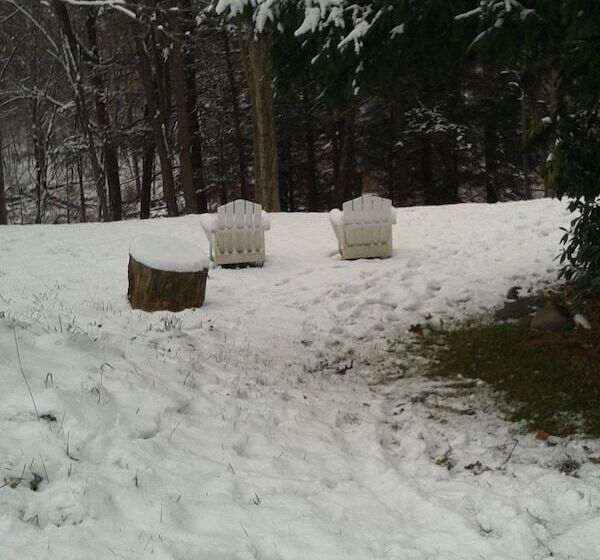 מוטל Black Bear Lodge