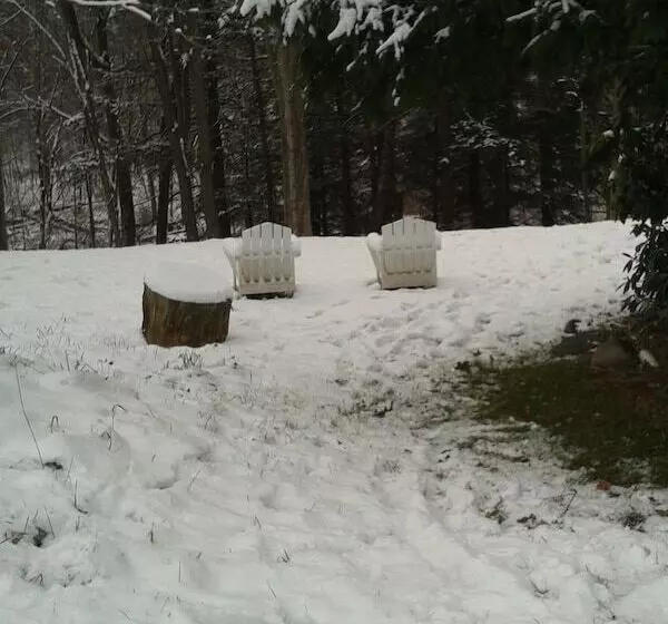 Motelli Black Bear Lodge