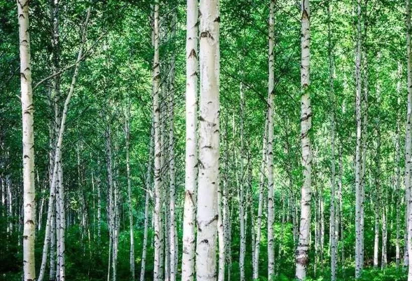 Pyeongchang Anne Pension