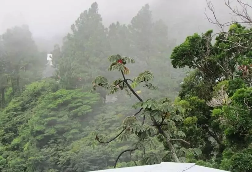 Roots Hostel