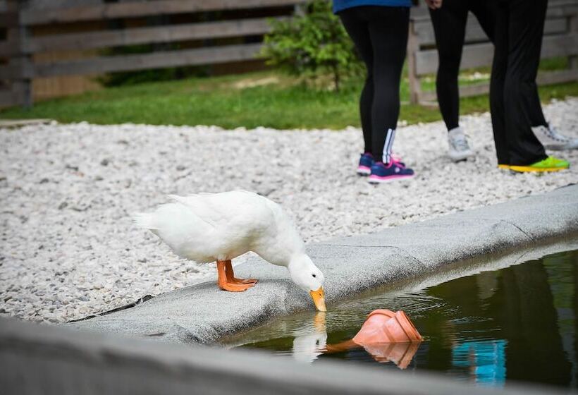 Slovenia Eco Resort