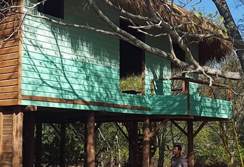 Solost Hotel Eco Boutique