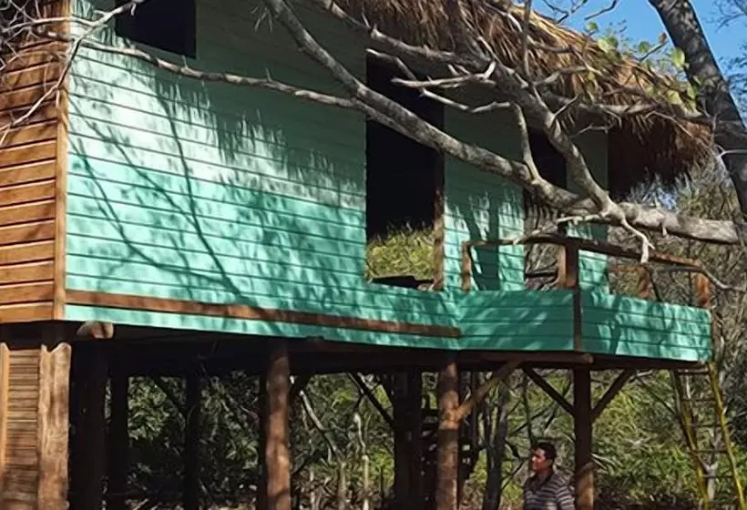 Solost Hotel Eco Boutique