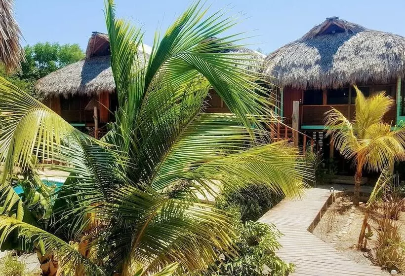 Solost Hotel Eco Boutique