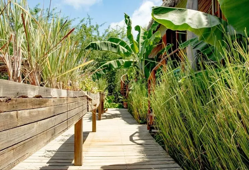 Solost Hotel Eco Boutique