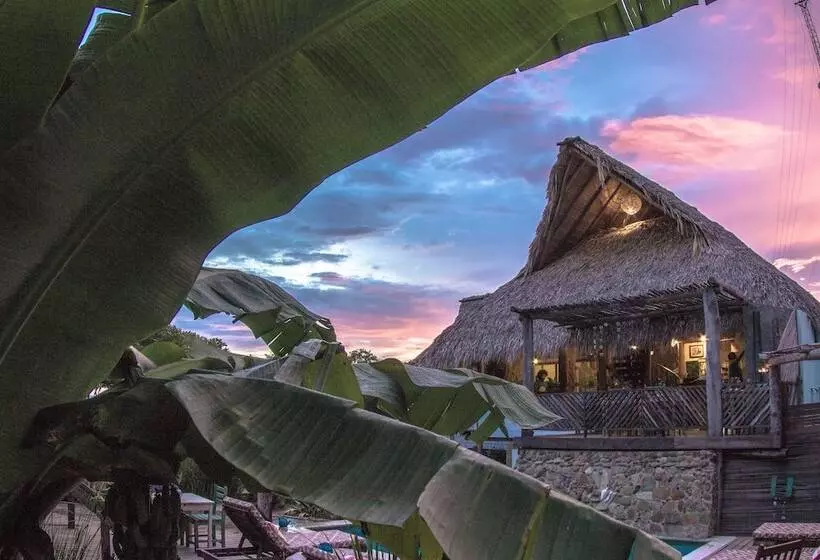 Solost Hotel Eco Boutique