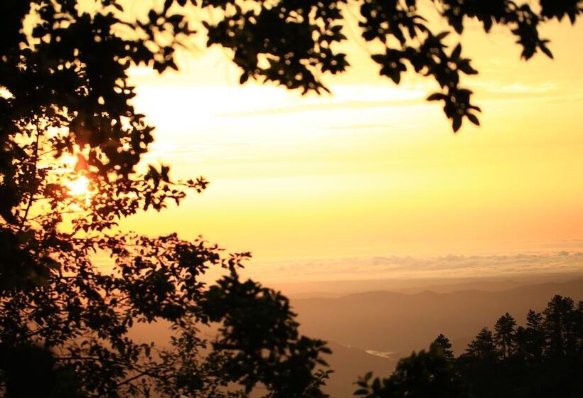 The Floral Breeze Hotel Mt.victoria