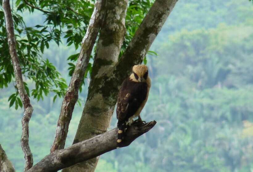 تختخواب و صبحانه Eden Tica Lodge