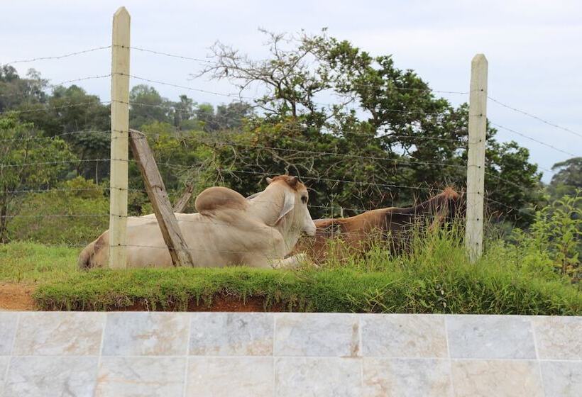 تختخواب و صبحانه Eden Tica Lodge