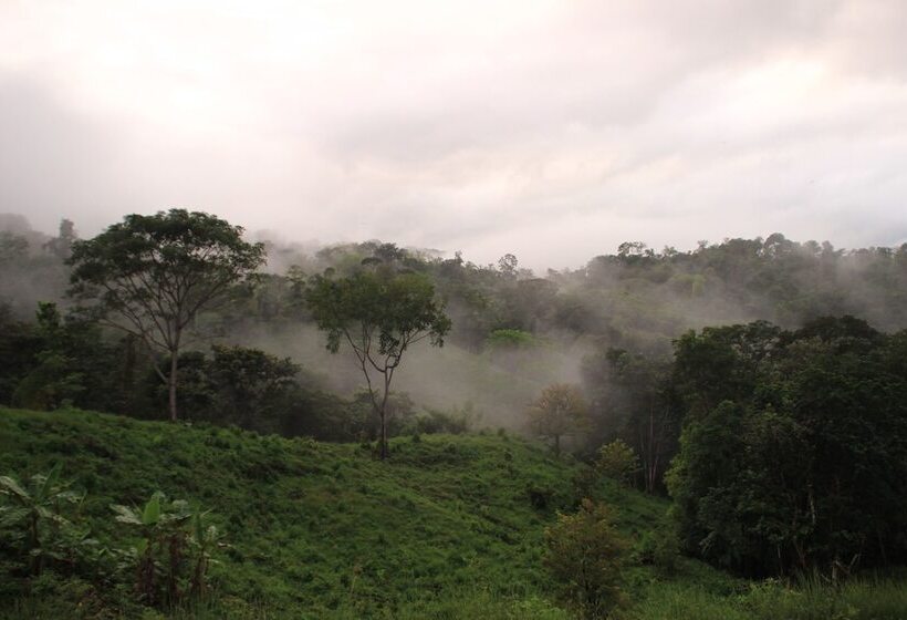 تختخواب و صبحانه Eden Tica Lodge