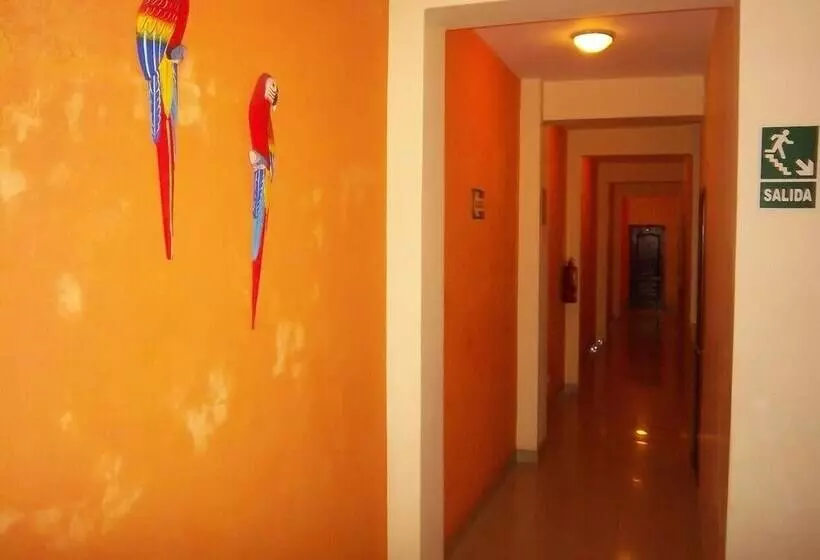 Hostal Terra Bella