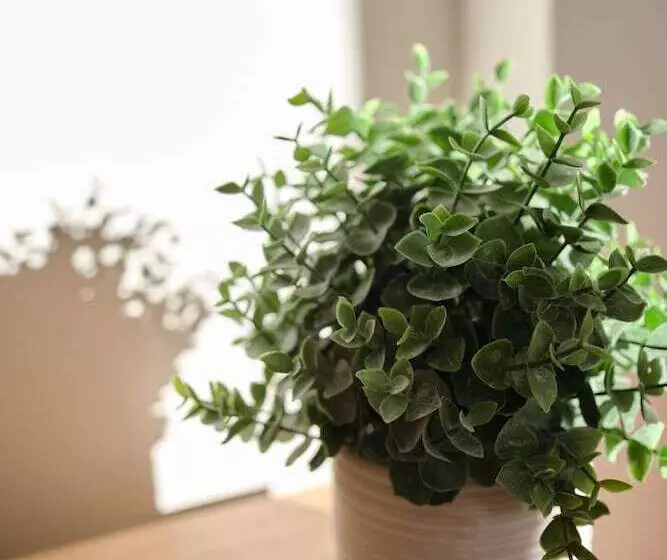 Hotelli Auberge Du Dimanche