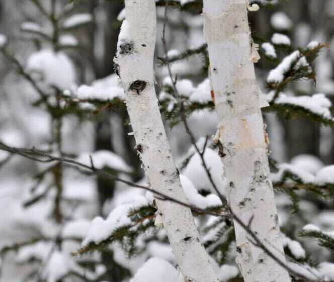 فندق Auberge Du Dimanche