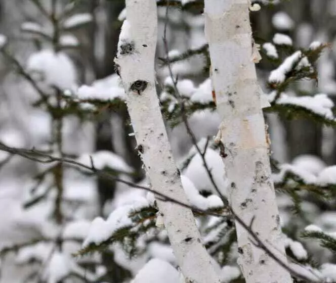 Hotelli Auberge Du Dimanche