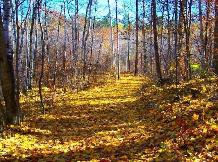 فندق Crow Wing Crest Resort