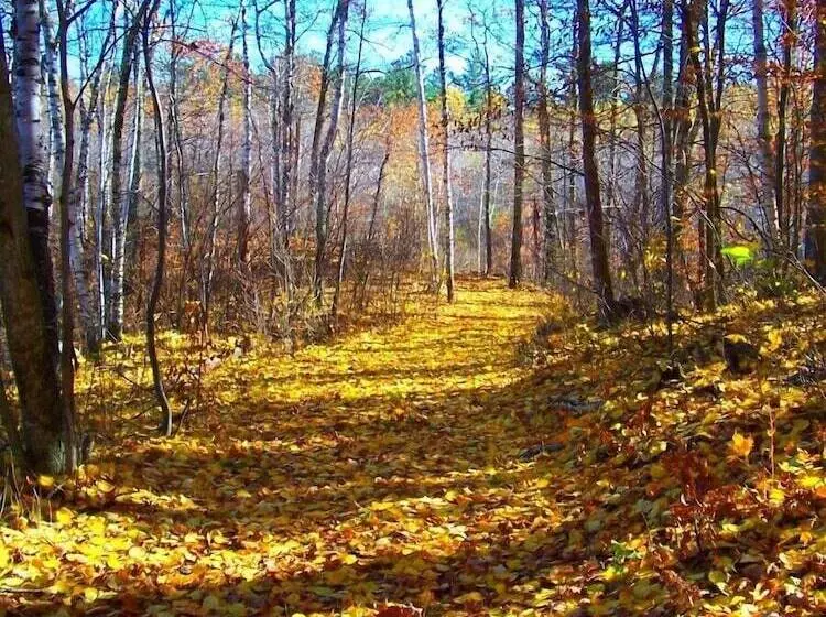 Hotelli Crow Wing Crest Resort