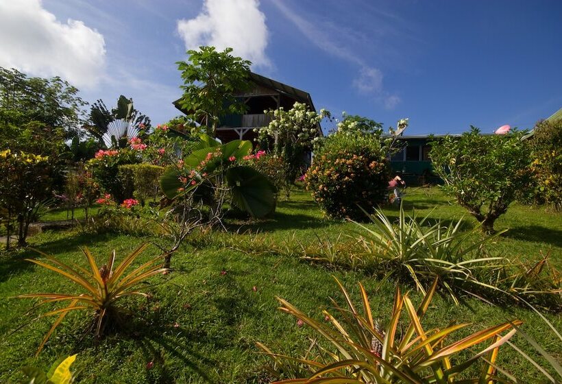 호텔 El Mirador Osa