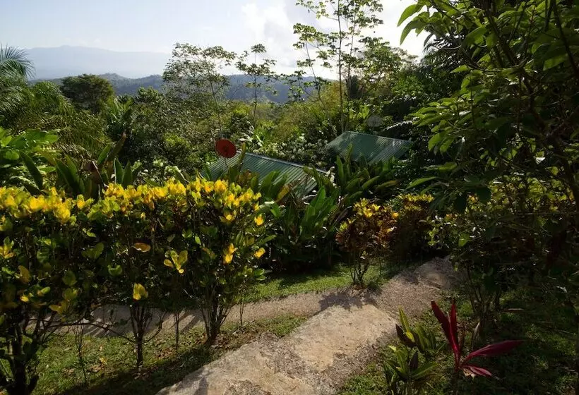ホテル El Mirador Osa