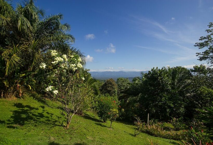 호텔 El Mirador Osa