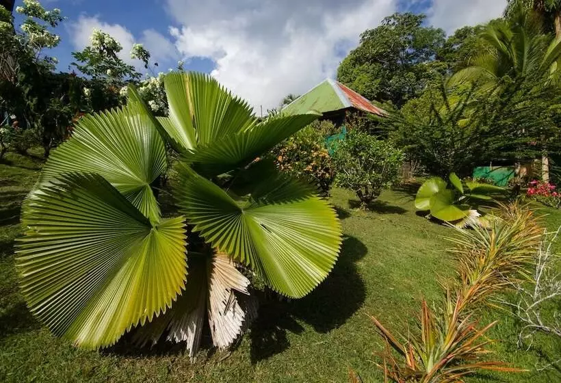 ホテル El Mirador Osa