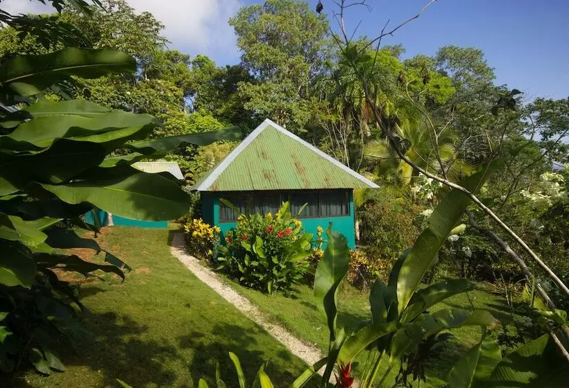 ホテル El Mirador Osa