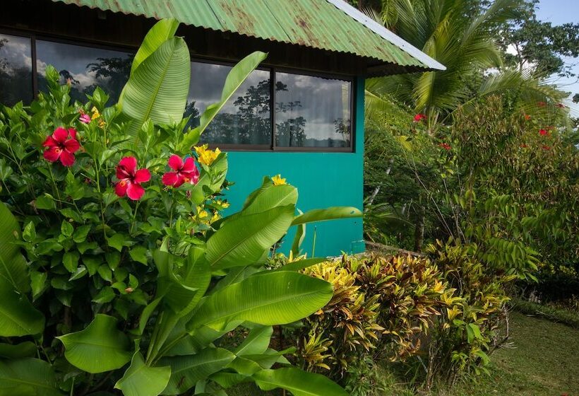 호텔 El Mirador Osa