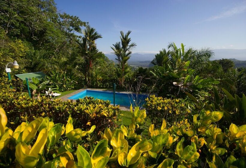 호텔 El Mirador Osa