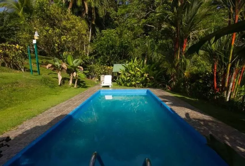 ホテル El Mirador Osa