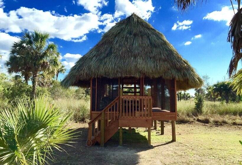 فندق Everglades Chickee Cottage & Bungalow Ochopee