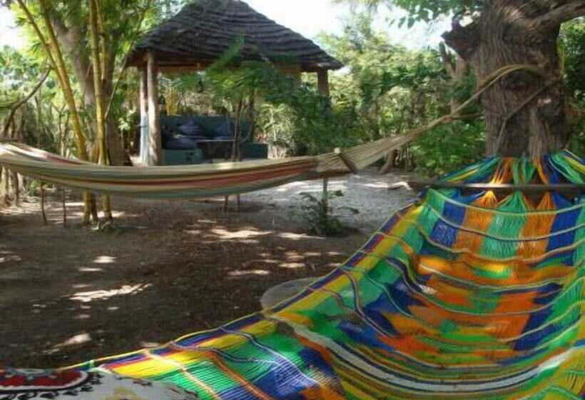 هتل Evergreen Retreat