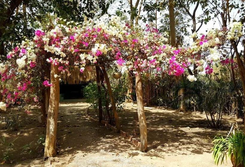 هتل Evergreen Retreat