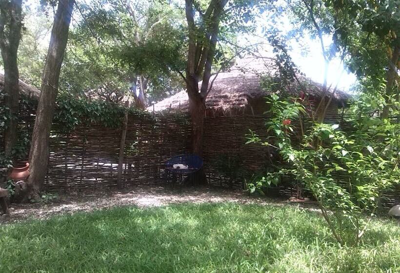 هتل Evergreen Retreat