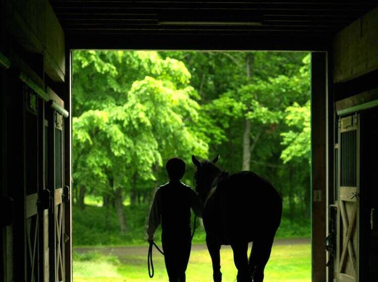 Hotel Hazel Grouse Manor