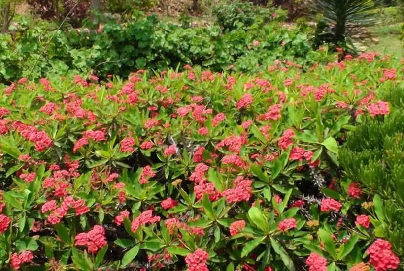 هتل Palm Valley Lodge