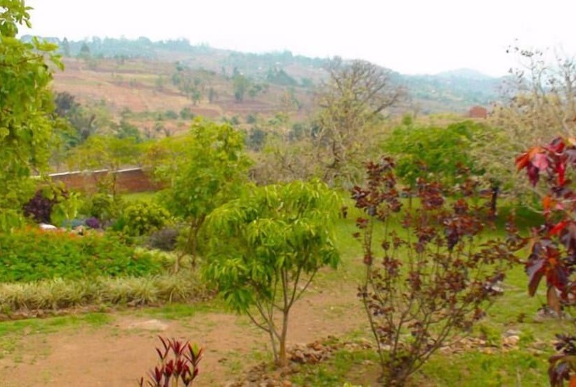 Otel Palm Valley Lodge