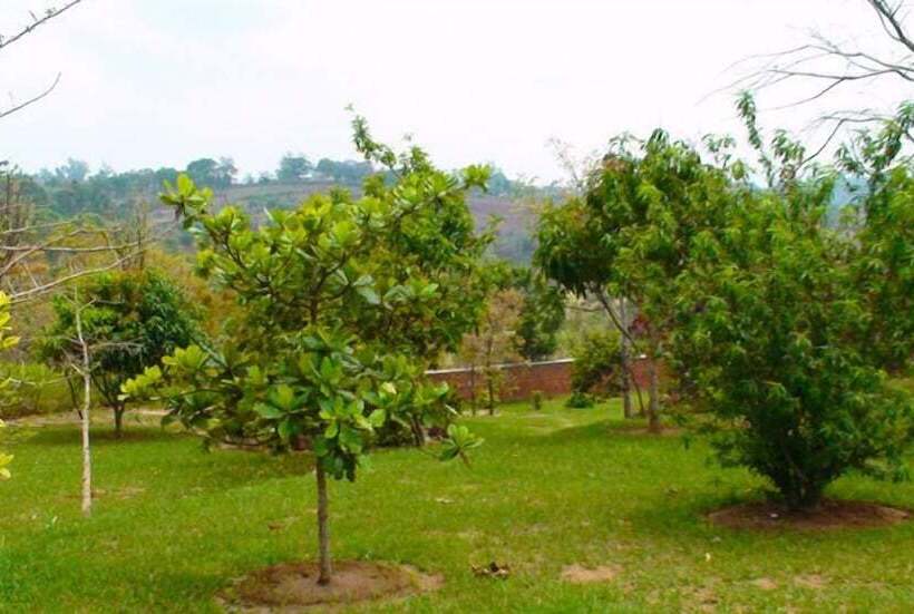 Otel Palm Valley Lodge