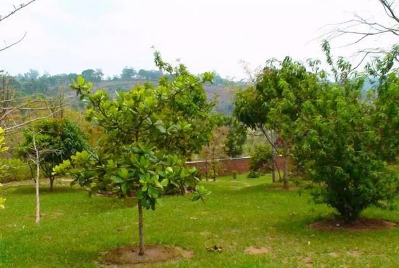 هتل Palm Valley Lodge