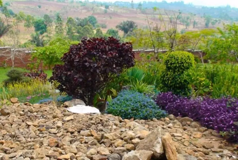 هتل Palm Valley Lodge