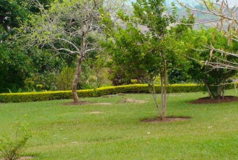 Otel Palm Valley Lodge