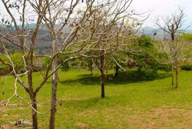 هتل Palm Valley Lodge